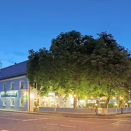Blauer Karpfen Unterschleissheim